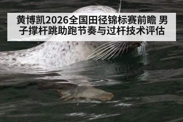 黄博凯2026全国田径锦标赛前瞻 男子撑杆跳助跑节奏与过杆技术评估