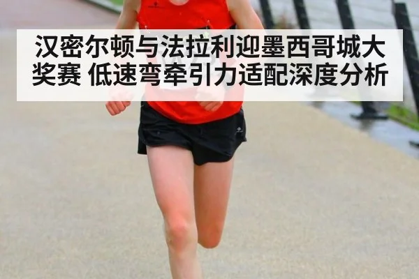 汉密尔顿与法拉利迎墨西哥城大奖赛 低速弯牵引力适配深度分析